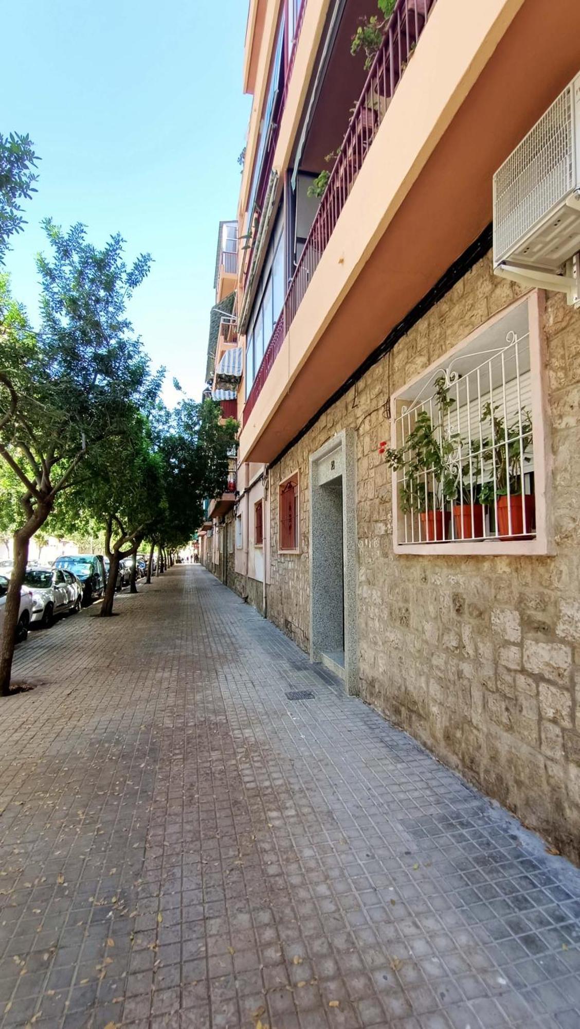 Visitando A Mijail Διαμέρισμα Αλικάντε Εξωτερικό φωτογραφία